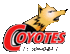 Coyotes Sonora FC
